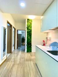 Lakeville (D22), Condominium #479833501